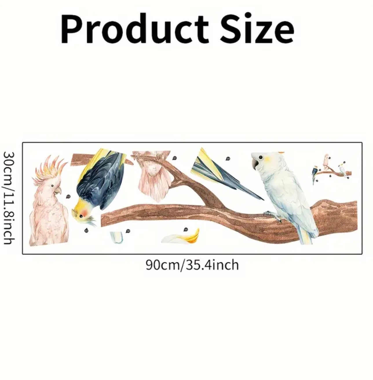 Australian birds decal